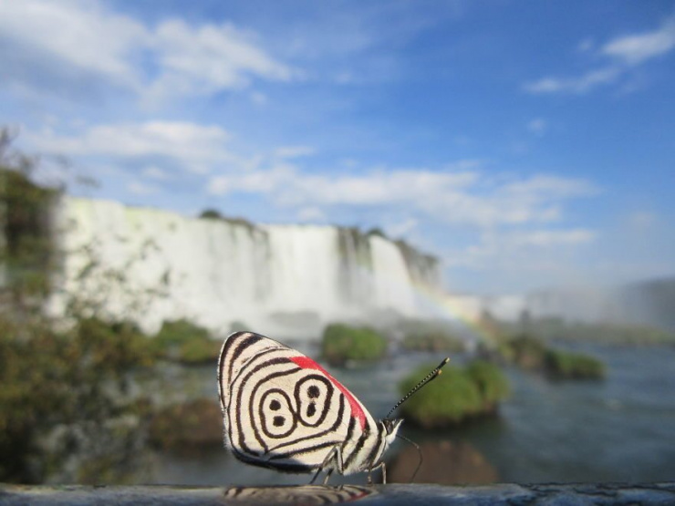 «Удивительные открытия»