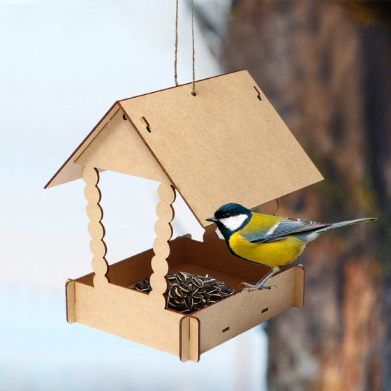 Помоги птицам зимой!